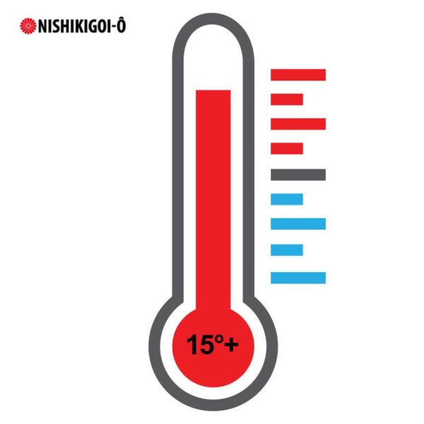 thermostraat_15__nishikigoi__premium_hr
